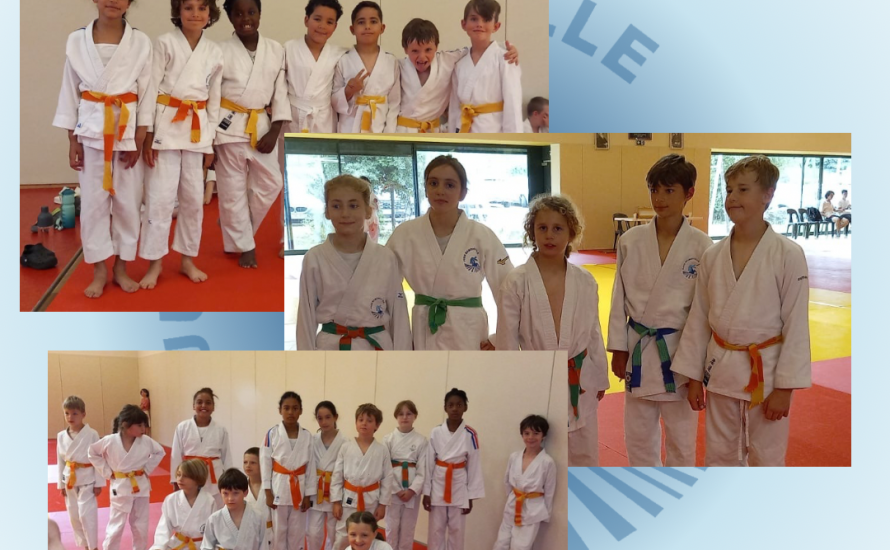 Tournoi amical de St-Orens
